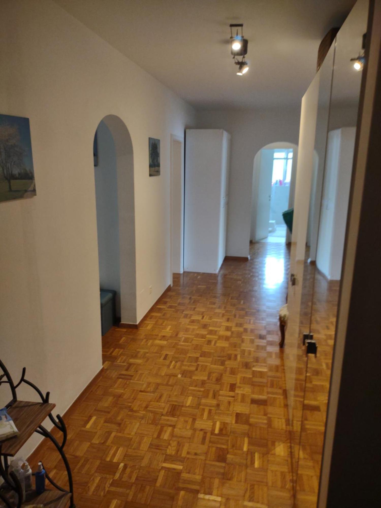 Appartamento Bellavista Lugano Massagno Dış mekan fotoğraf