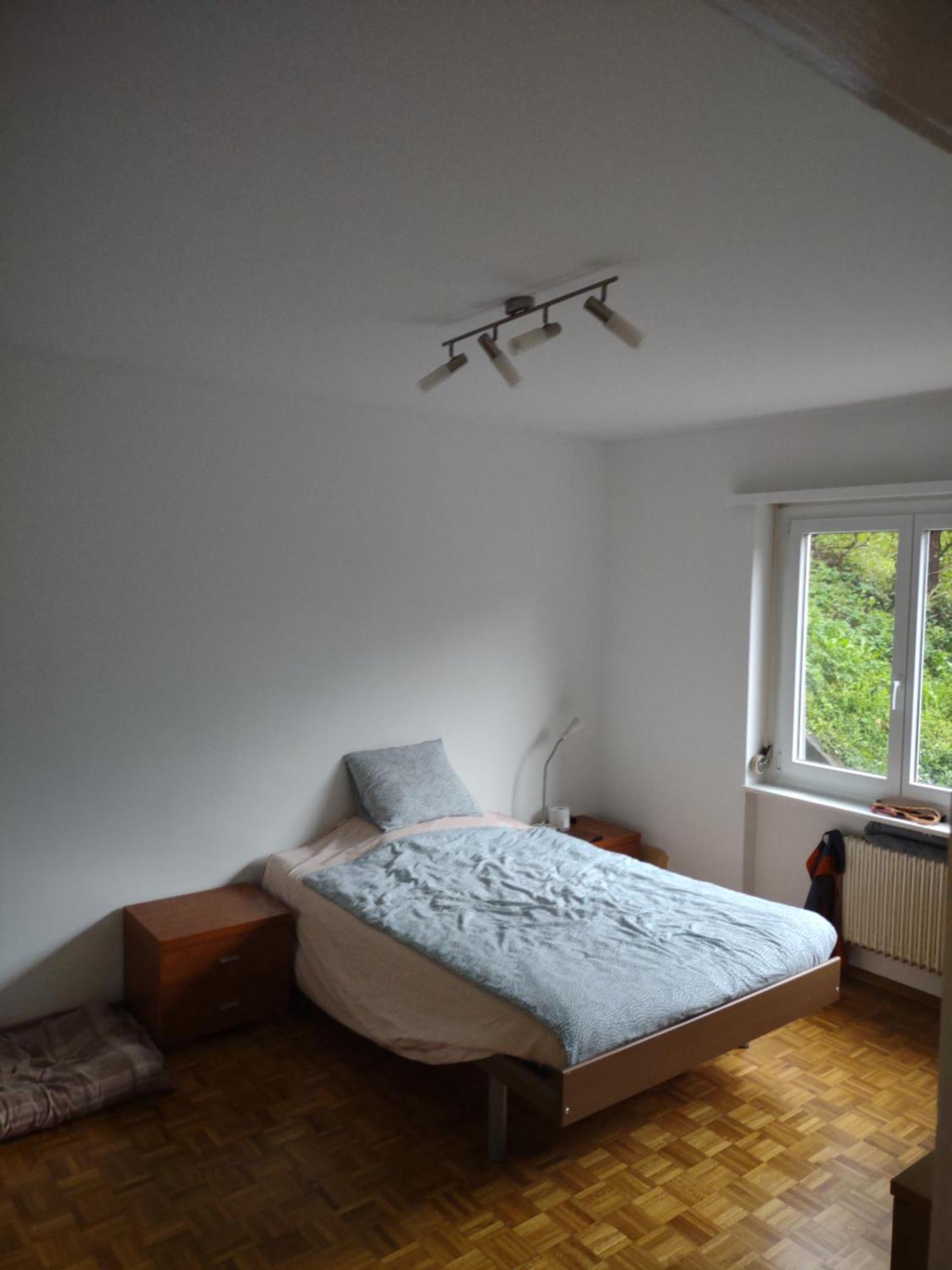 Appartamento Bellavista Lugano Massagno Dış mekan fotoğraf